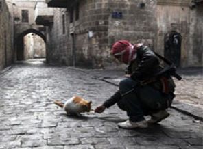 Suriye'de çatışmalar şiddetleniyor Suriye'de çatışmalar şiddetleniyor