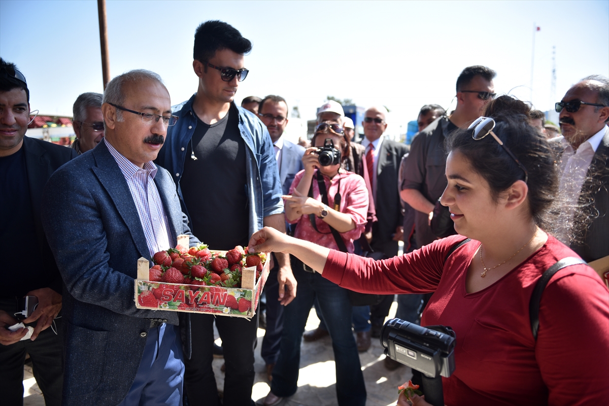 20170406_2_22913068_20734635_Web