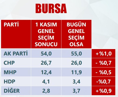 bursa(8)