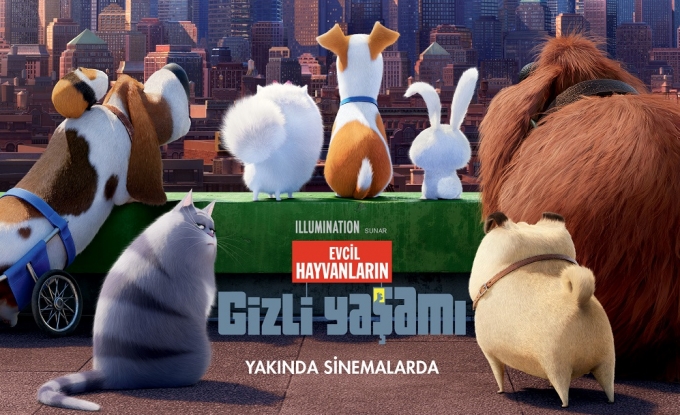 cropped_content_evcil-hayvanlarin-gizli-yasamindan-turkce-dublajli-fragman_0vpKq3zyQJI02n2