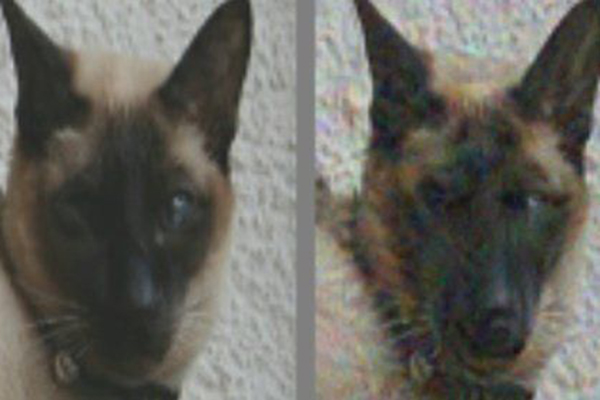 1860138_268ba597b0a2ebd3df11896c07976ba8