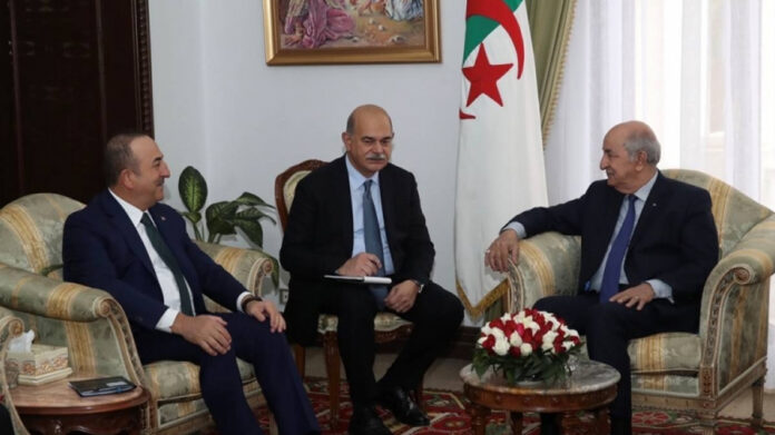تركيا-والجزائر-تؤكدان-مجددا-ضرورة-وقف-إطلاق-النار-في-ليبيا-696x391