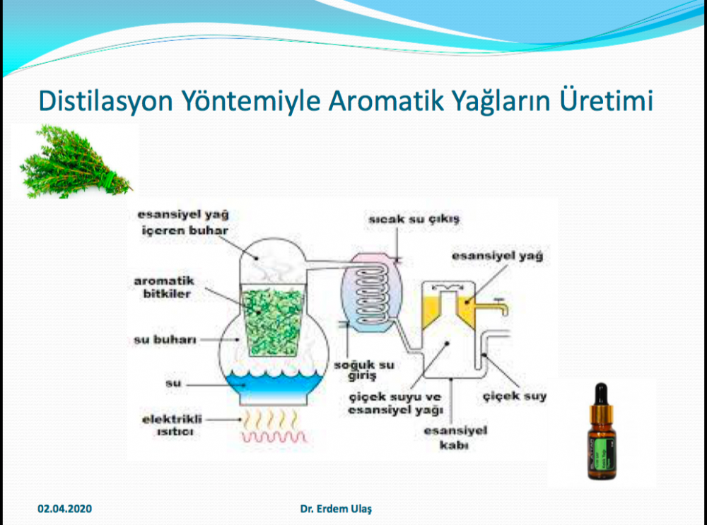 Dr._Erdem_UlaYYn_calYYmasYndan