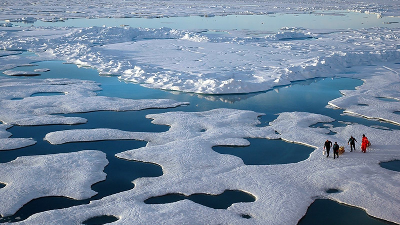 NOAA-sea-ice-loss