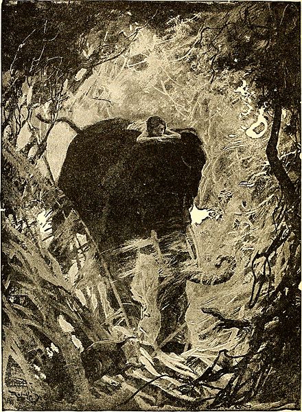 The_jungle_book_(1894)_(14598257330)