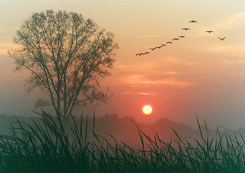 sunrise_autumn_5001