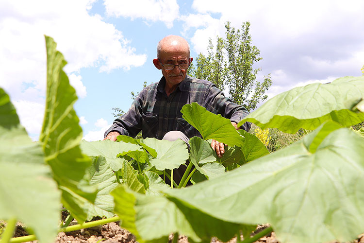 05_2022_15_Temmuz_14_20220717_2_54380563_79103725