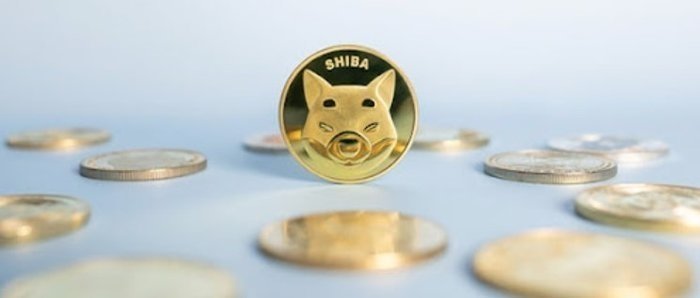 0x0-shiba-coin-ataga-kalkti-shiba-krakende-listelendi-mi-shiba-inu-coin-neden-yukseliyor-1638307955259