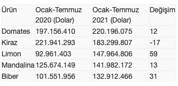 Ekran Resmi 2021-08-13 11.19.04