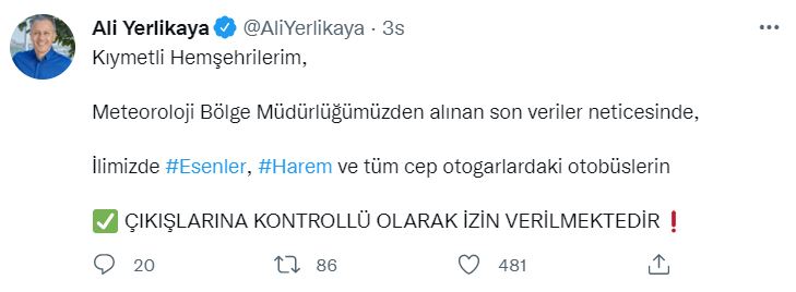 ali yerlik