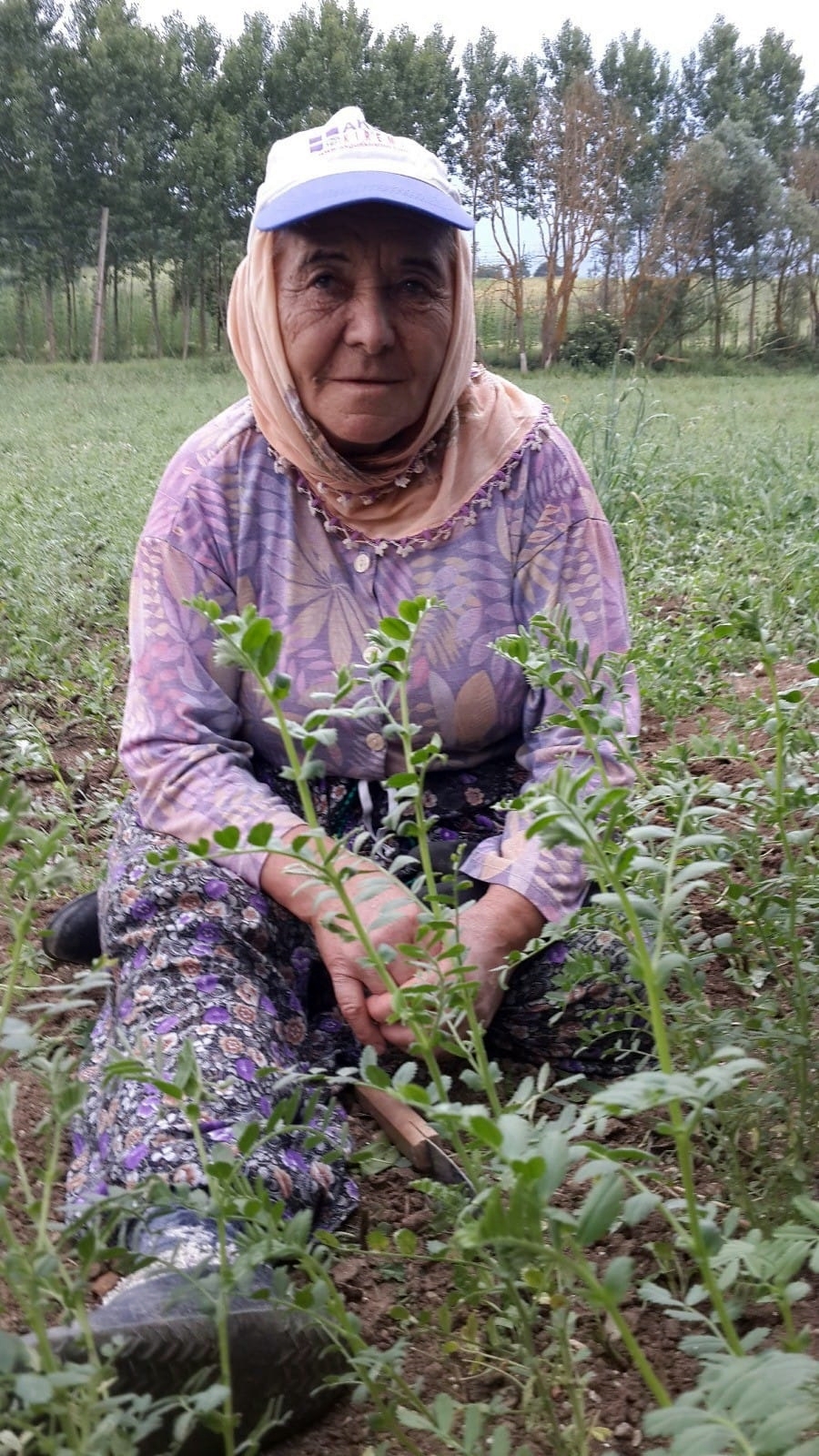 bobrek-hastasi-ayse-dundar-icin-250-bin-kiside-1-gorulen-bombay-grubu-kan-araniyor_9700_dhaphoto3