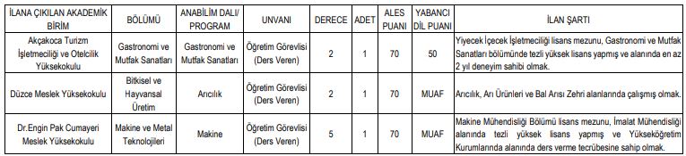 düzce üniversitesi öğretim elemanı alımı