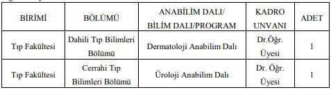 dr öğretim üyesi alımı