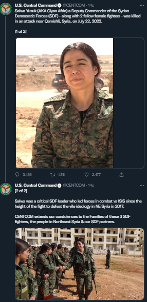 pkk-abd-ypg