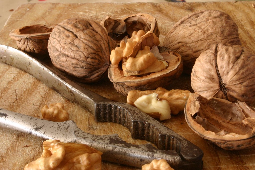 walnut-supplier-manufacturer-ukraine-export-importer-nuts-hazelnuts-08_compressed-1