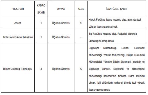 öğretim üyesi alımı_1