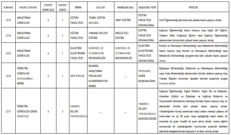 öğretim görevlisi iş ilanı