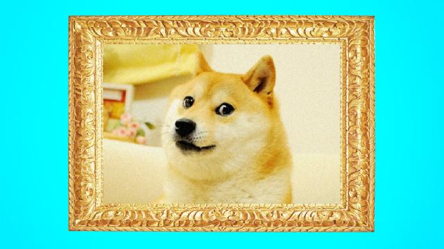 doge-getty-1971711_2