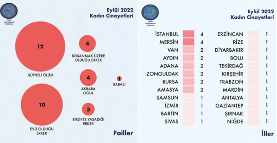 kadın-cinayet