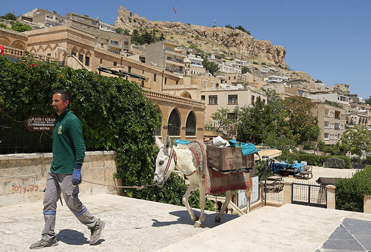 07_2023_20072023_mardin1__1