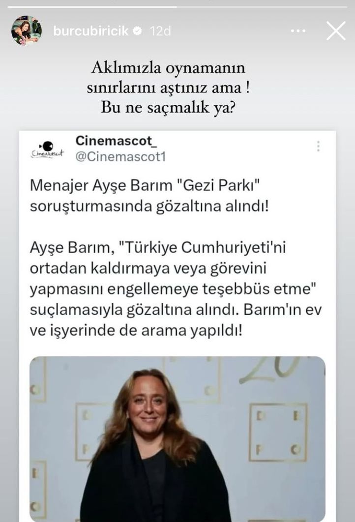 Ayşe Barım Hakkında Gezi Parkı Soruşturması ve Sanatçıların İfadeleri