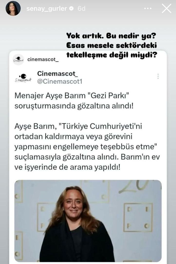 Ayşe Barım Hakkında Gezi Parkı Soruşturması ve Sanatçıların İfadeleri