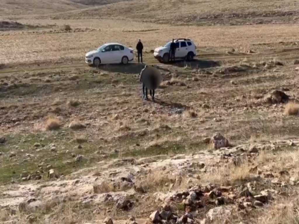 PKK Terör Örgütüne Yönelik Başarılı İkna Çalışmaları