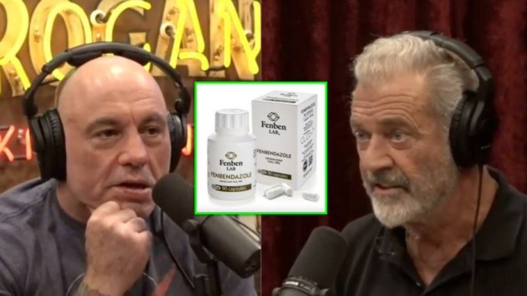 Mel-Gibson-Stirs-Controversy-on-Joe-Rogan-Podcast-Fauci-COVID-Drugs-and-‘Miracle-Cancer-Cures-758x426