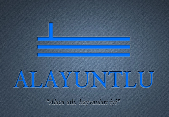 alayuntlu