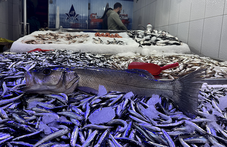 007_2025_04_Eylül_20_Eylül_06_20250922_2_70875302_117317092_2