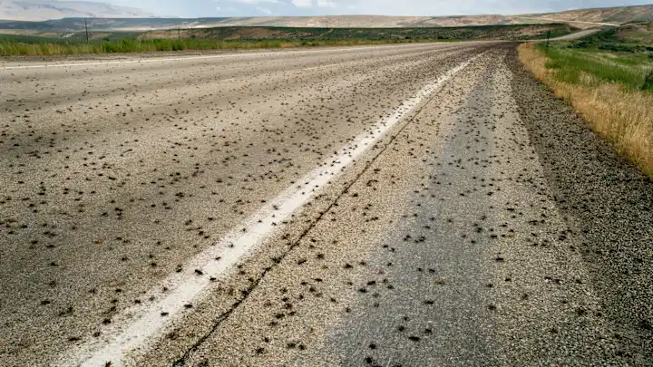 01h2xaj5fvb82tyn6mc5