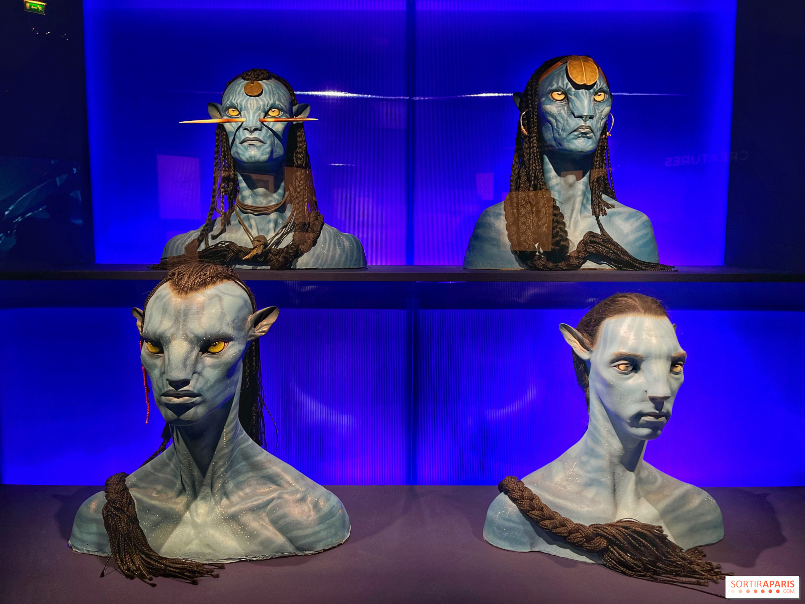 1045347-l-art-de-james-cameron-img-9919