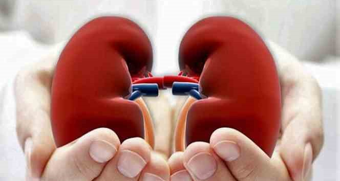 1287bf7b81fa217d8be7a9ef5bad825d