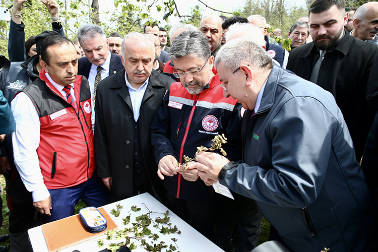 20250419_2_68649623_111904176