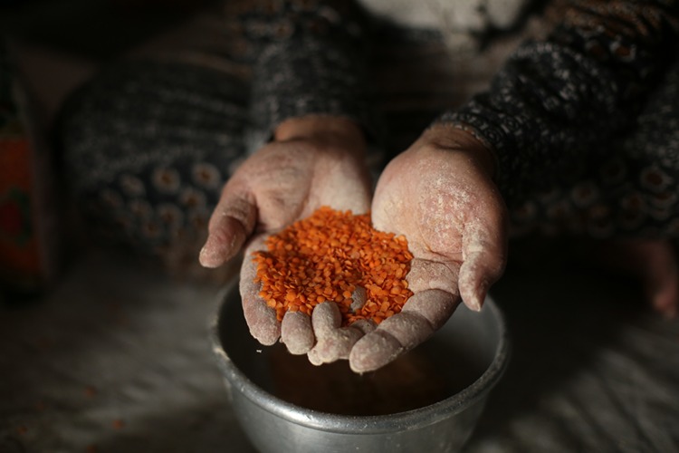 2025_05_20250505_2_68880401_112533302