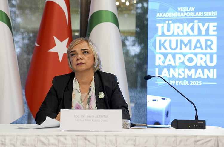 2025_06_20250929_2_70980878_117552842