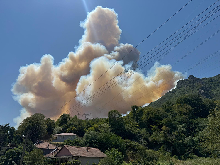 Geyve'de Orman Yangını ve Müdahale Çalışmaları