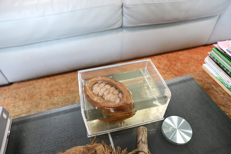 2025_14_20250527_2_69235388_113446450