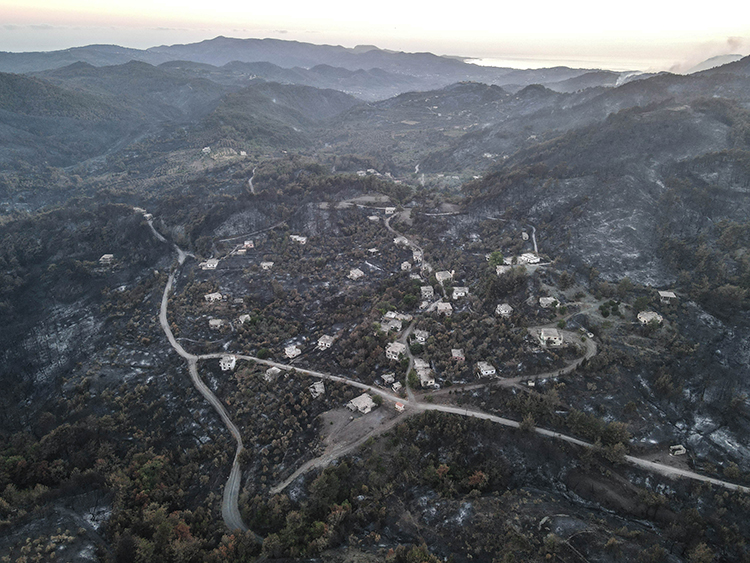 2025_15_20250708_2_69850491_114883410