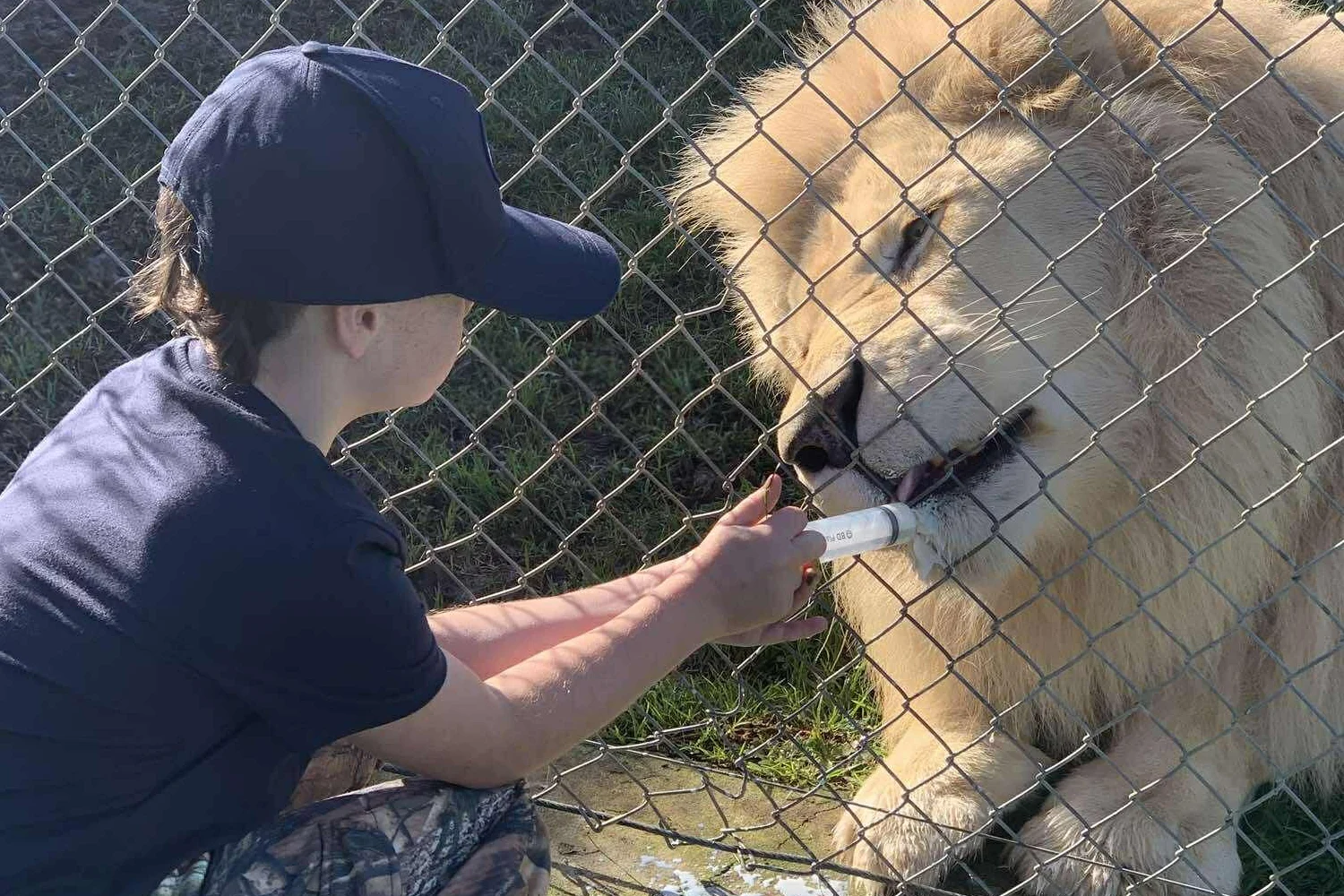 23fa66a0-b9d9-11f0-bedd-cd8ed45afa8b