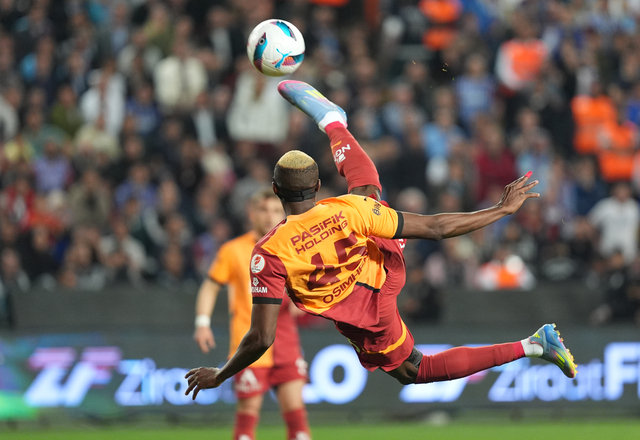 3805025_d3684ea9134478967c9a10aca16d8d91_640x640