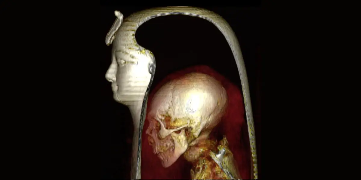 61cc574f9a93c000193a9426