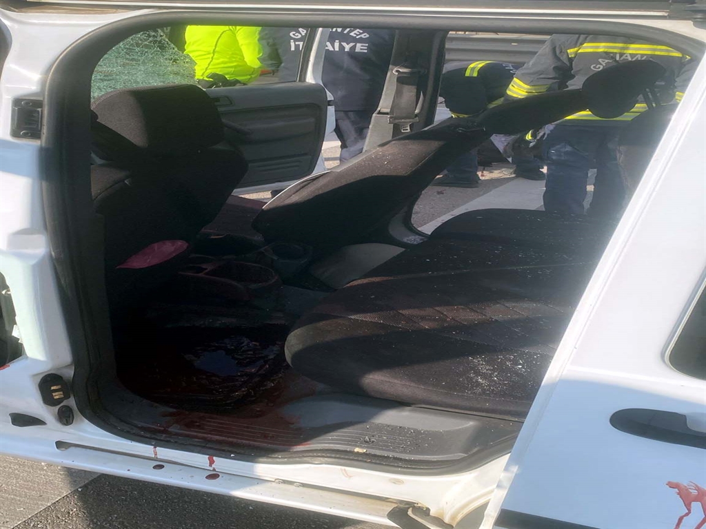 Havaalanı Yakınlarında Trafik Kazası: Polis Aracı ve At Çarpıştı