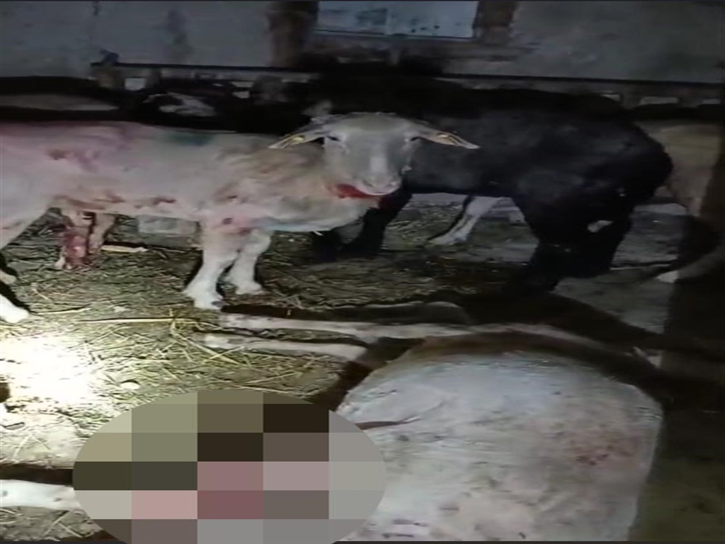 Olayın Tanığı ve Açıklamaları