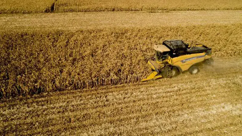 67ff601705414c8cc9e4fb07