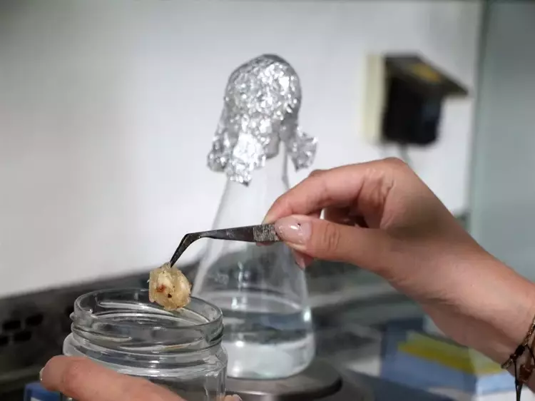 683ffa01e6619ed9c5ff9d59