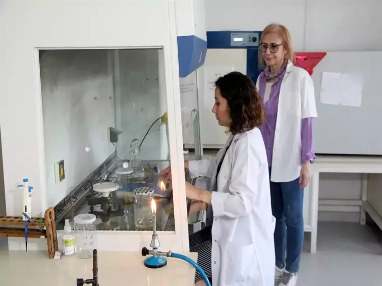 683ffa01e6619ed9c5ff9d60