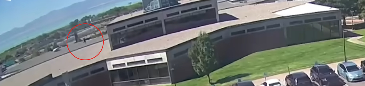 68d3f17020302769ae346fb2