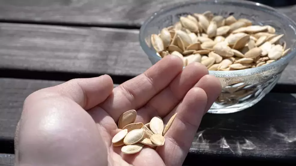 69724c6d0e20a535edcbd1b8