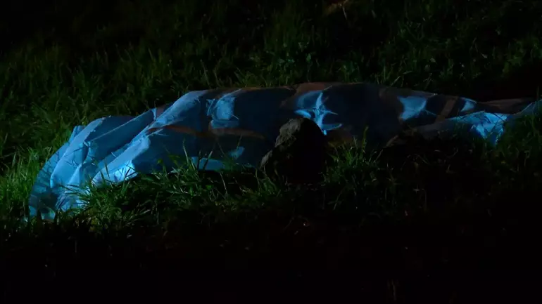 698b98186a554f24e687f5a5